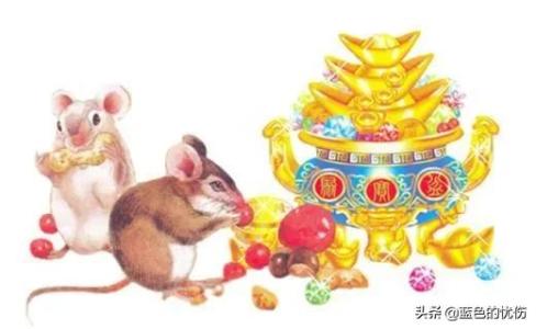 当属鼠的人老了会做什么