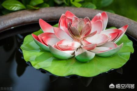 农村大门口放水缸好吗