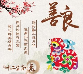生肖兔和什么生肖会白头到老