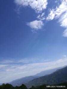 两情长久岂在朝朝暮暮什么意思