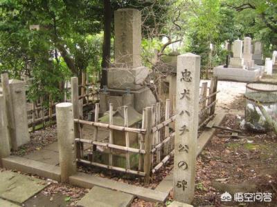 十二生肖里面什么动物会各司其职