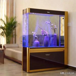 家庭鱼缸养鱼有什么讲究