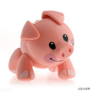 属猪的今年运势不好怎样化解